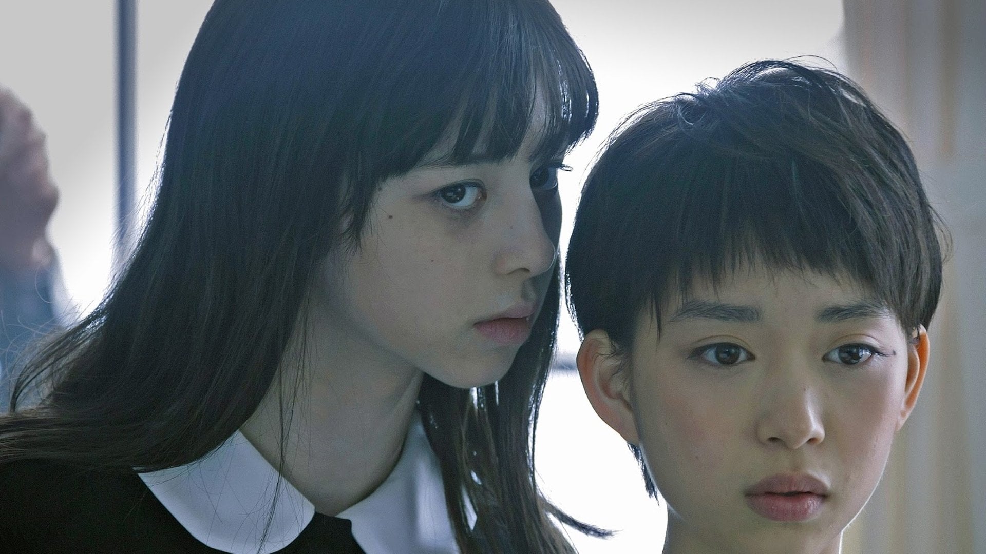Foto do filme Fatal Frame