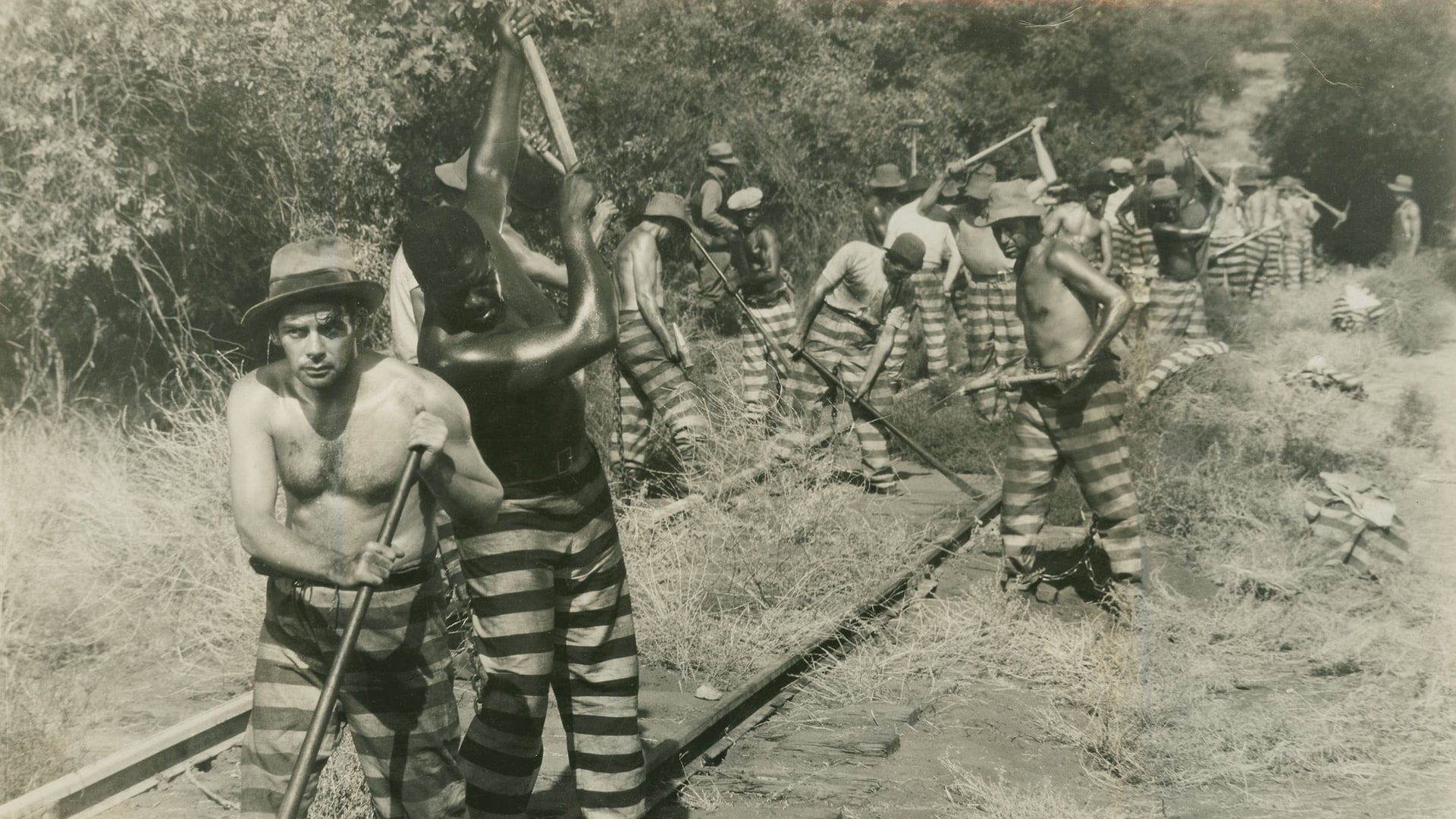 Foto do filme O Fugitivo