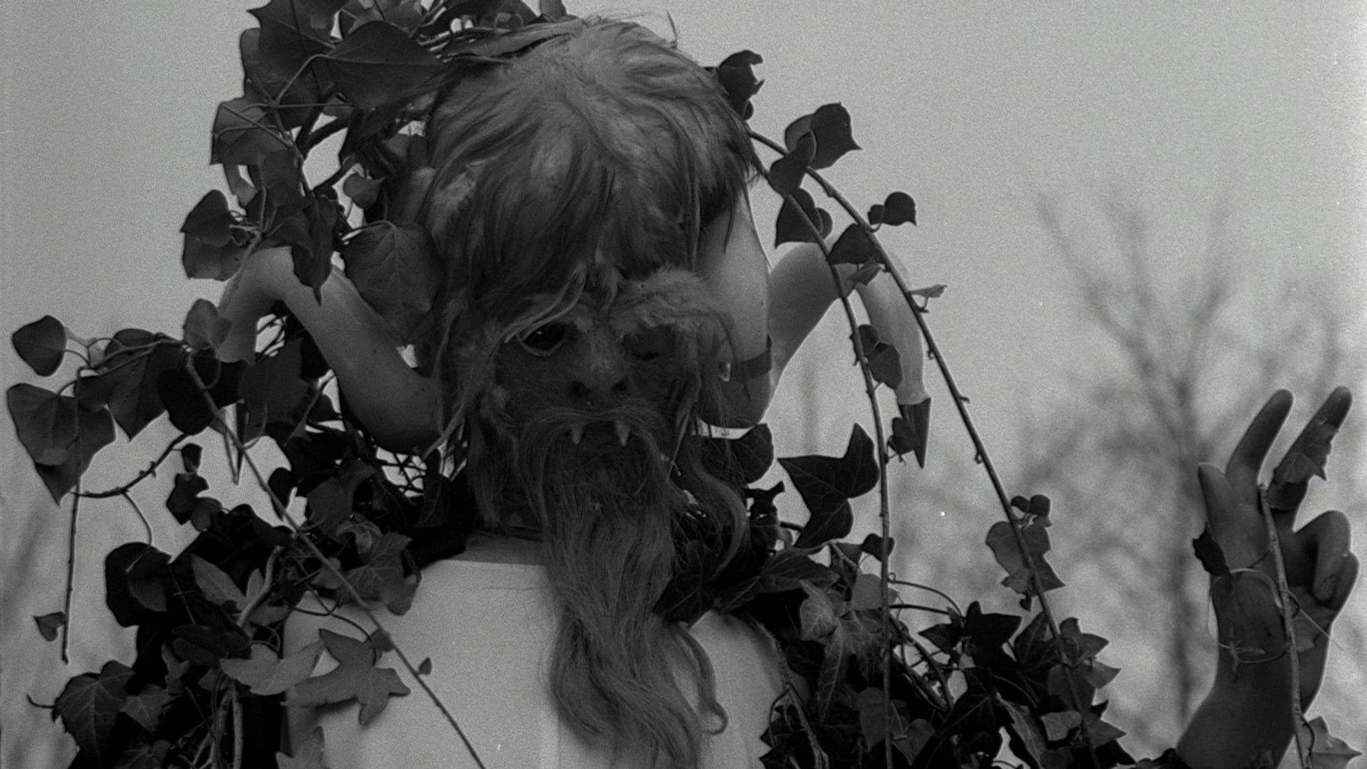 Foto do filme Le Viol du vampire