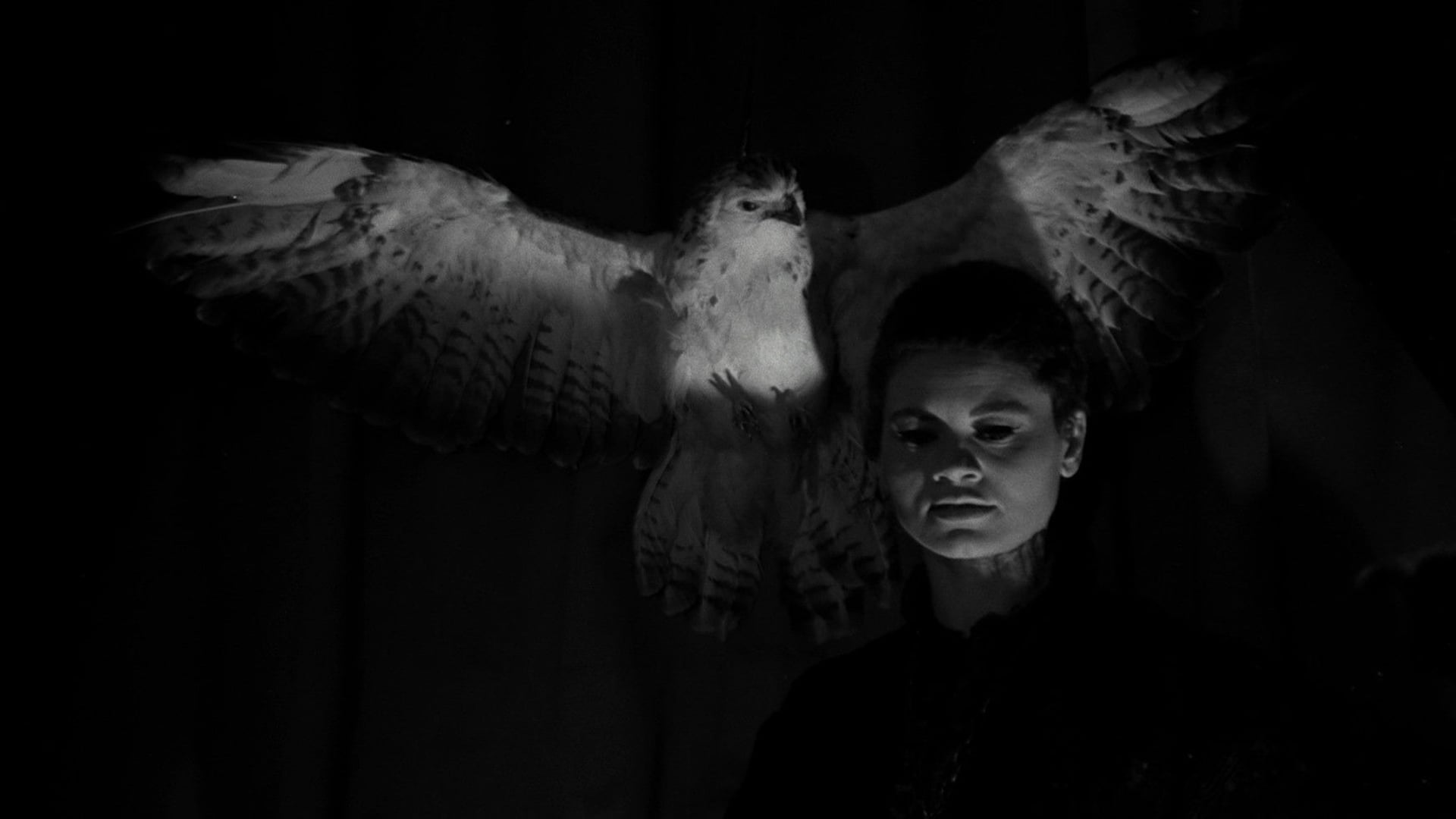 Foto do filme Le Viol du vampire