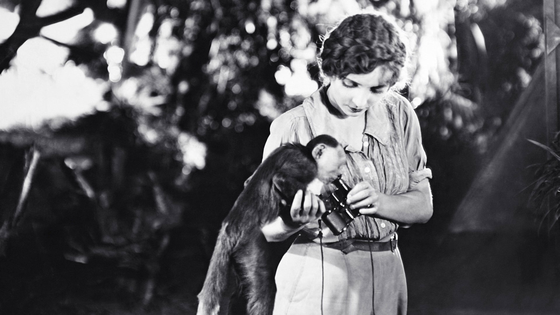 Foto do filme O Mundo Perdido