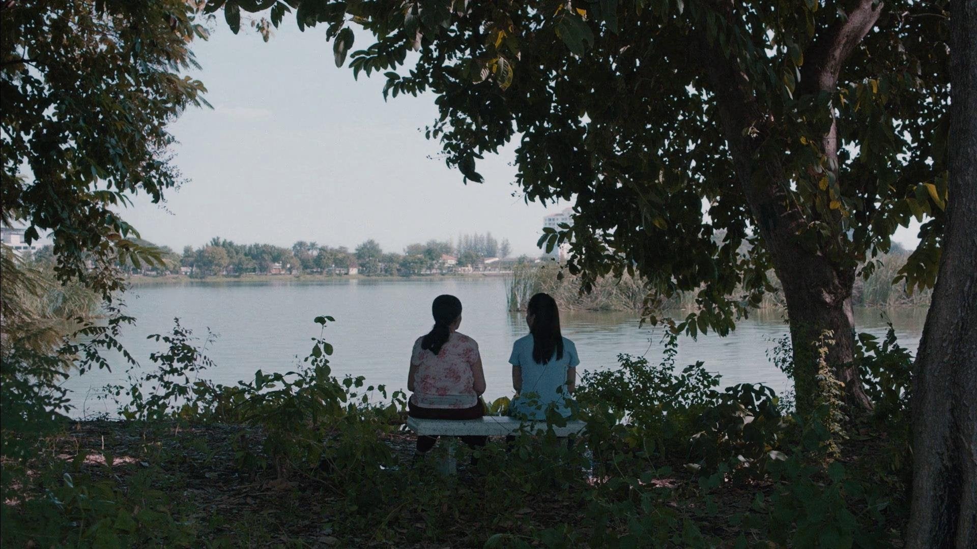Foto do filme Cemitério do Esplendor