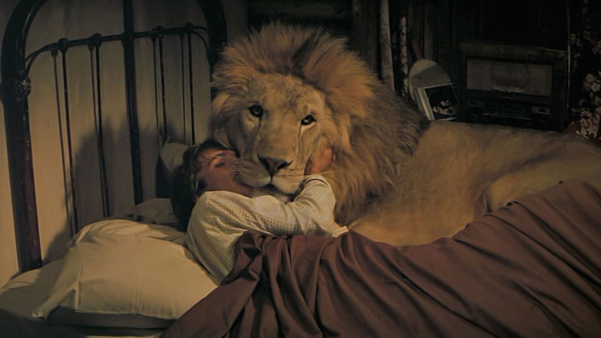 Foto do filme Roar