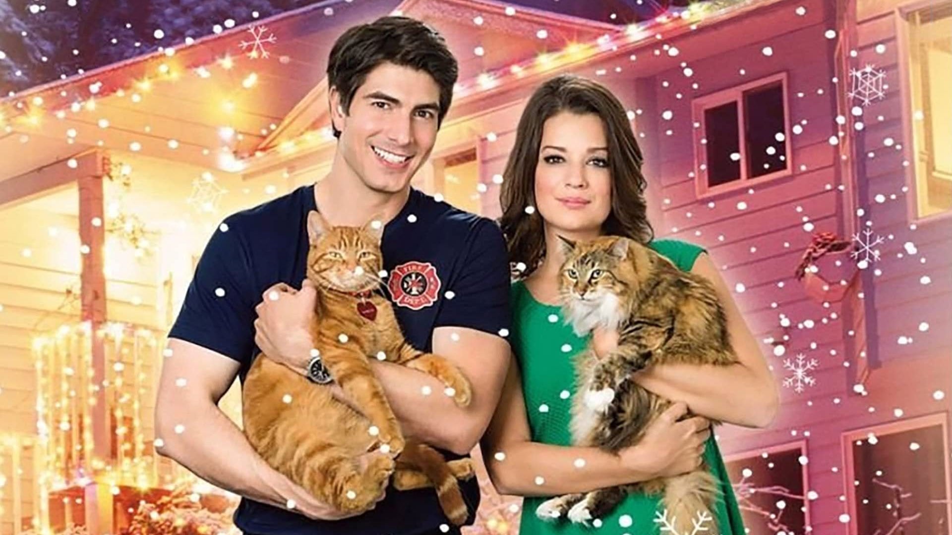 Foto do filme Um Amor Com Sete Vidas