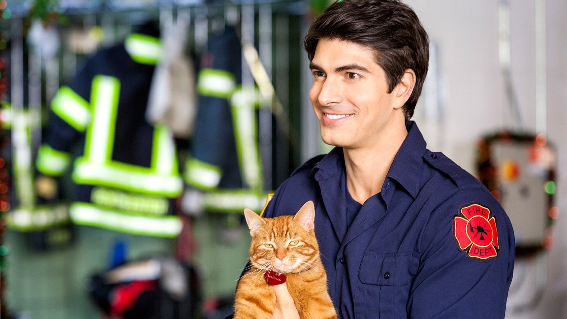 Foto do filme Um Amor Com Sete Vidas