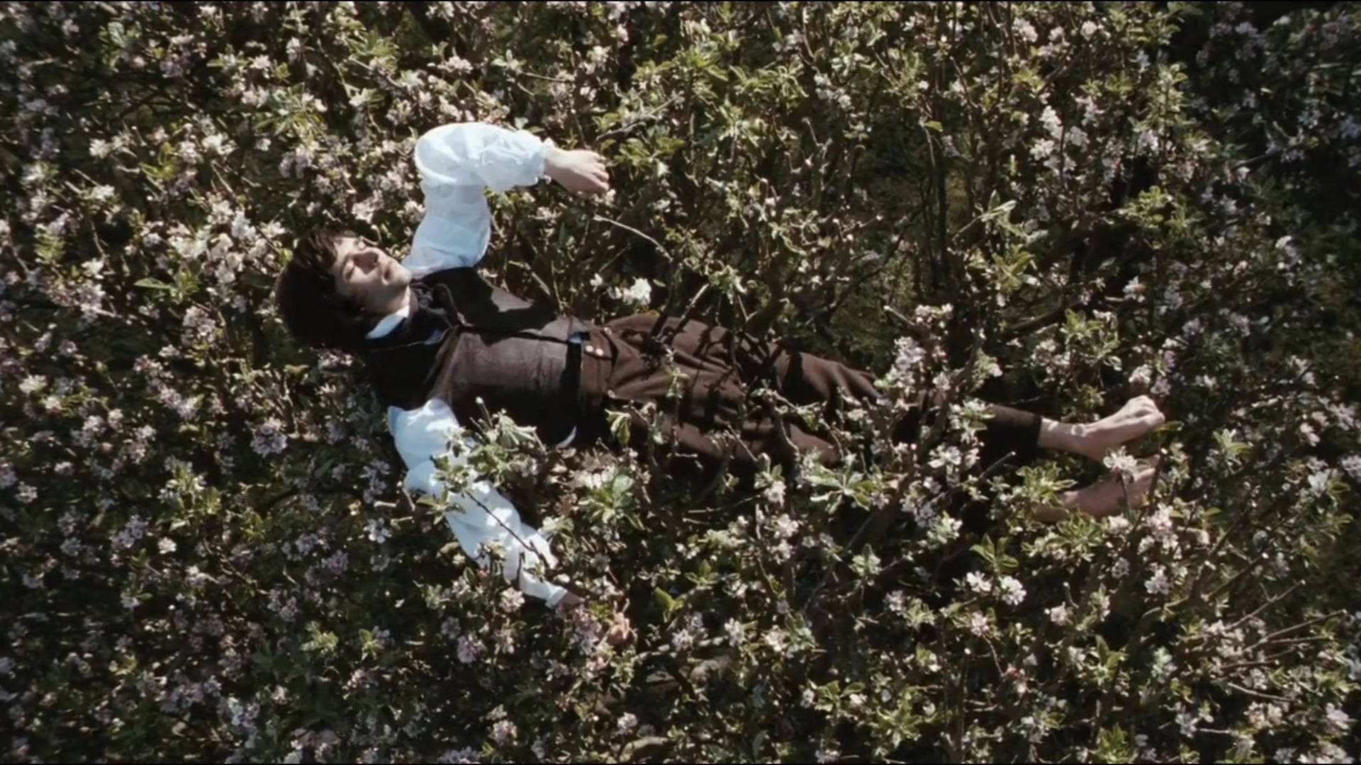 Foto do filme Brilho de uma Paixão