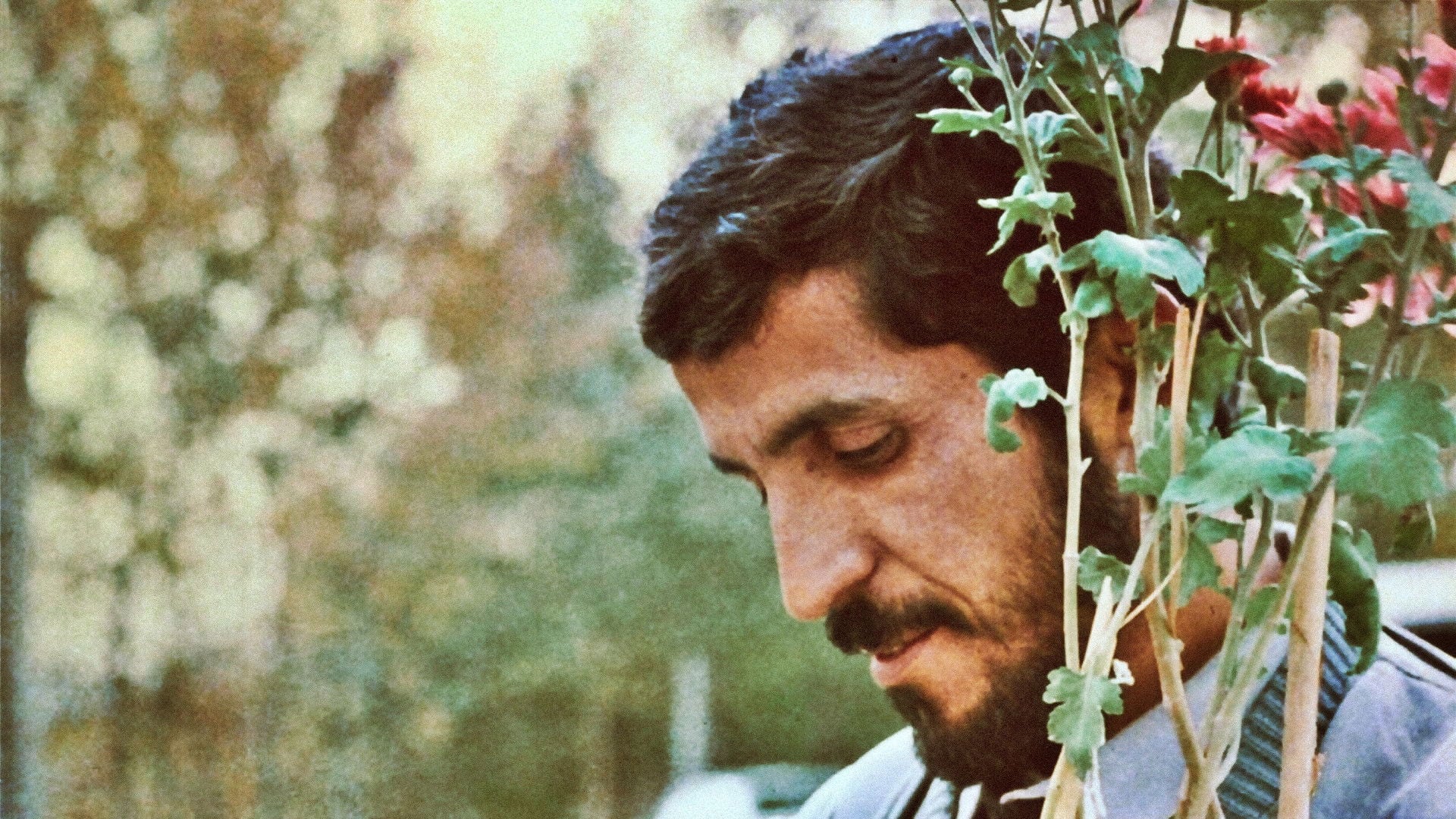 Foto do filme Close-Up