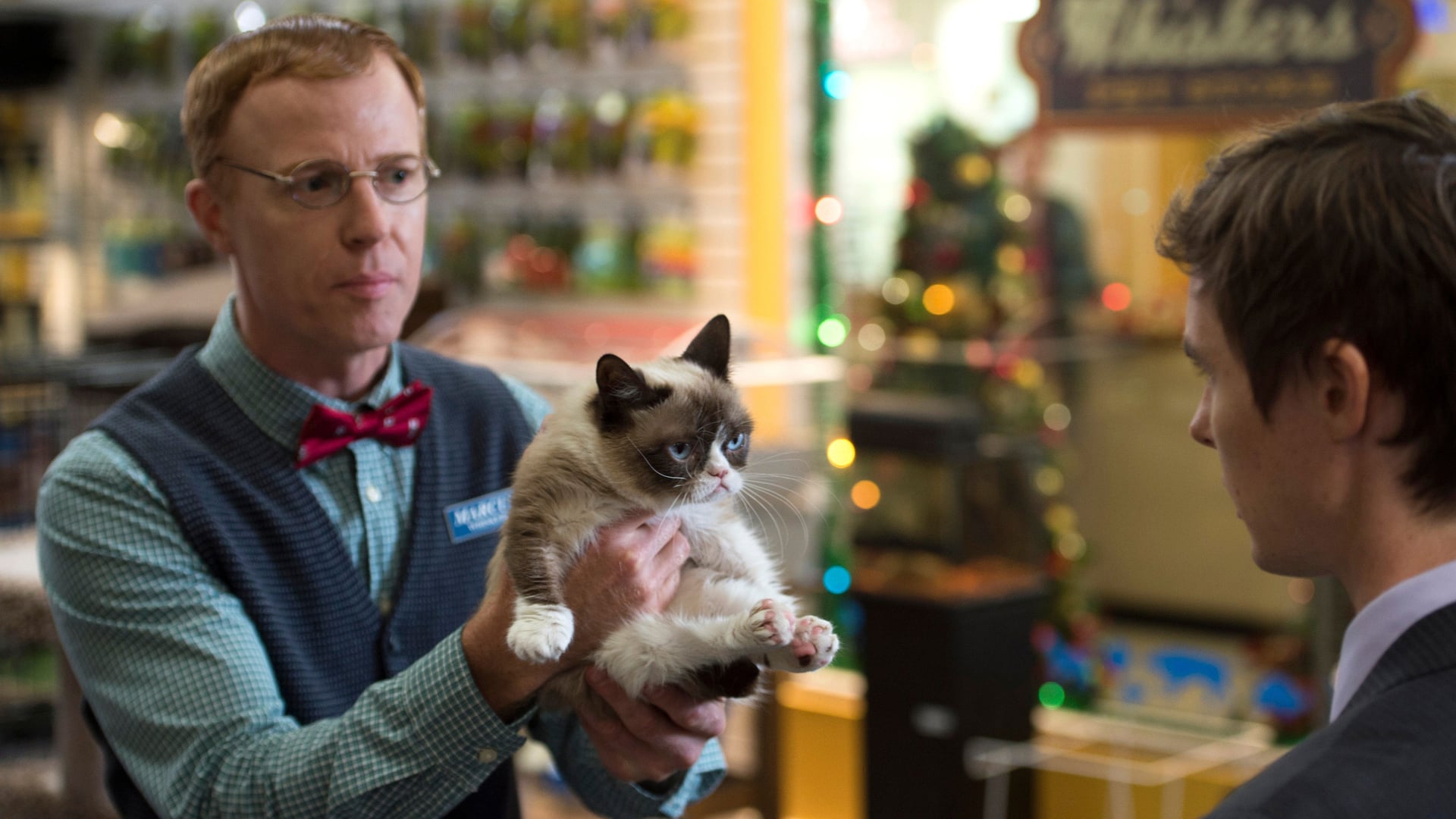 Foto do filme Grumpy Cat's Worst Christmas Ever