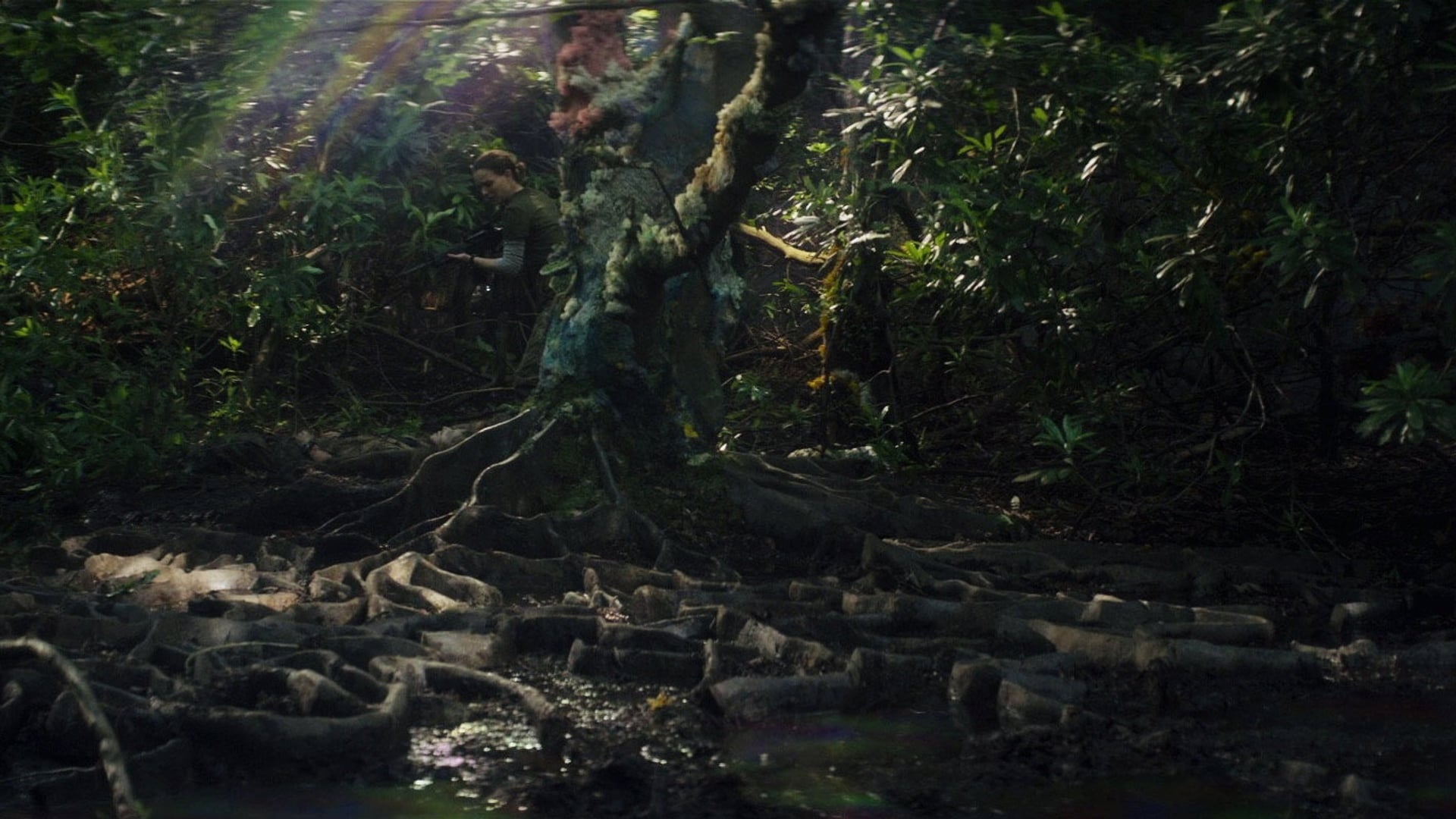 Foto do filme Aniquilação