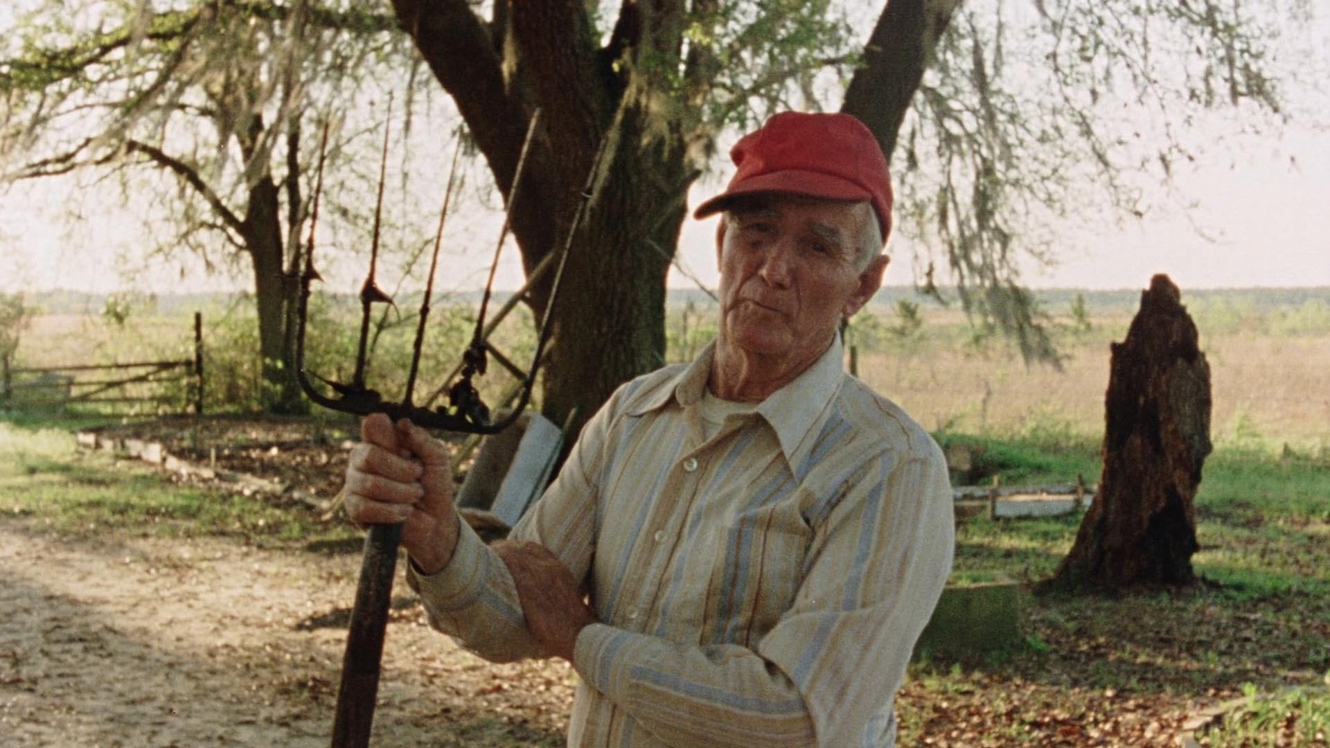 Foto do filme Vernon, Florida