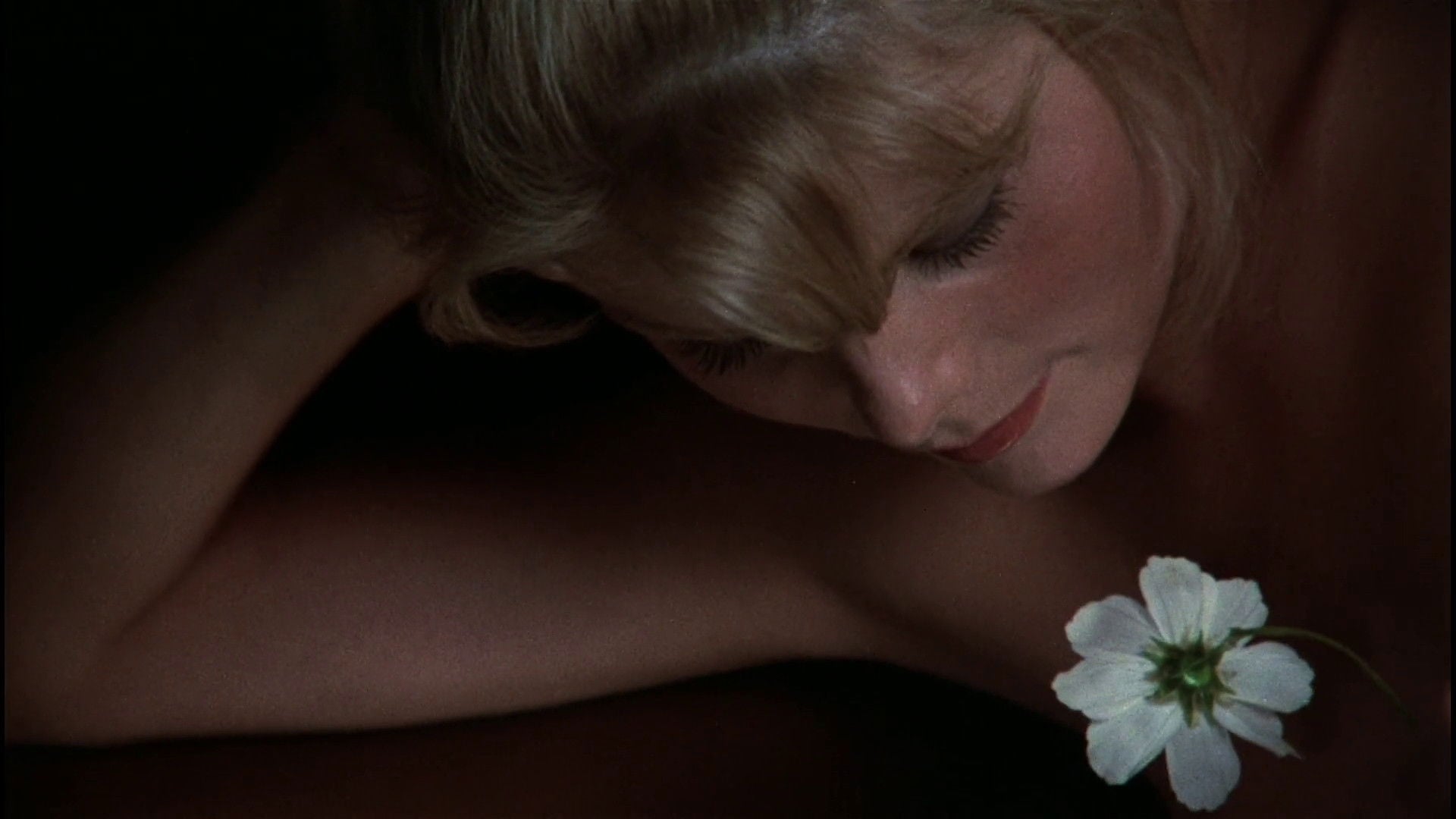 Foto do filme Star 80