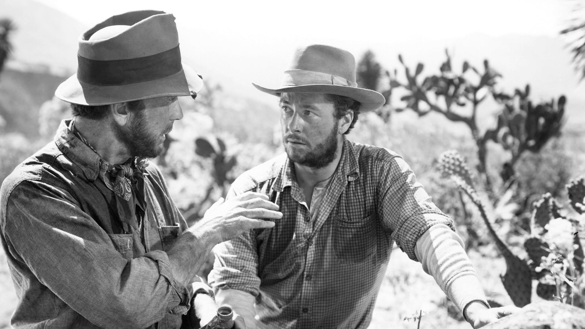 Foto do filme O Tesouro de Sierra Madre