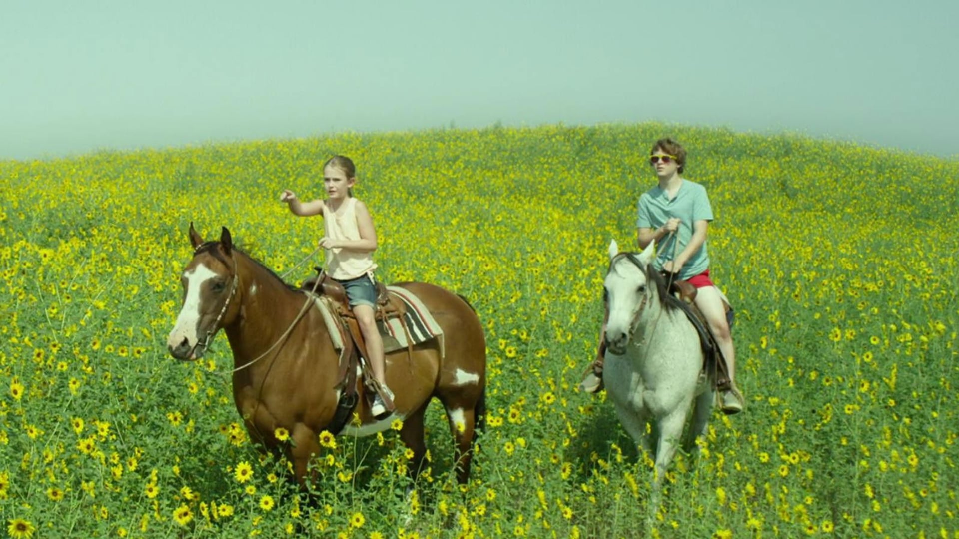 Foto do filme Leve-me ao Rio