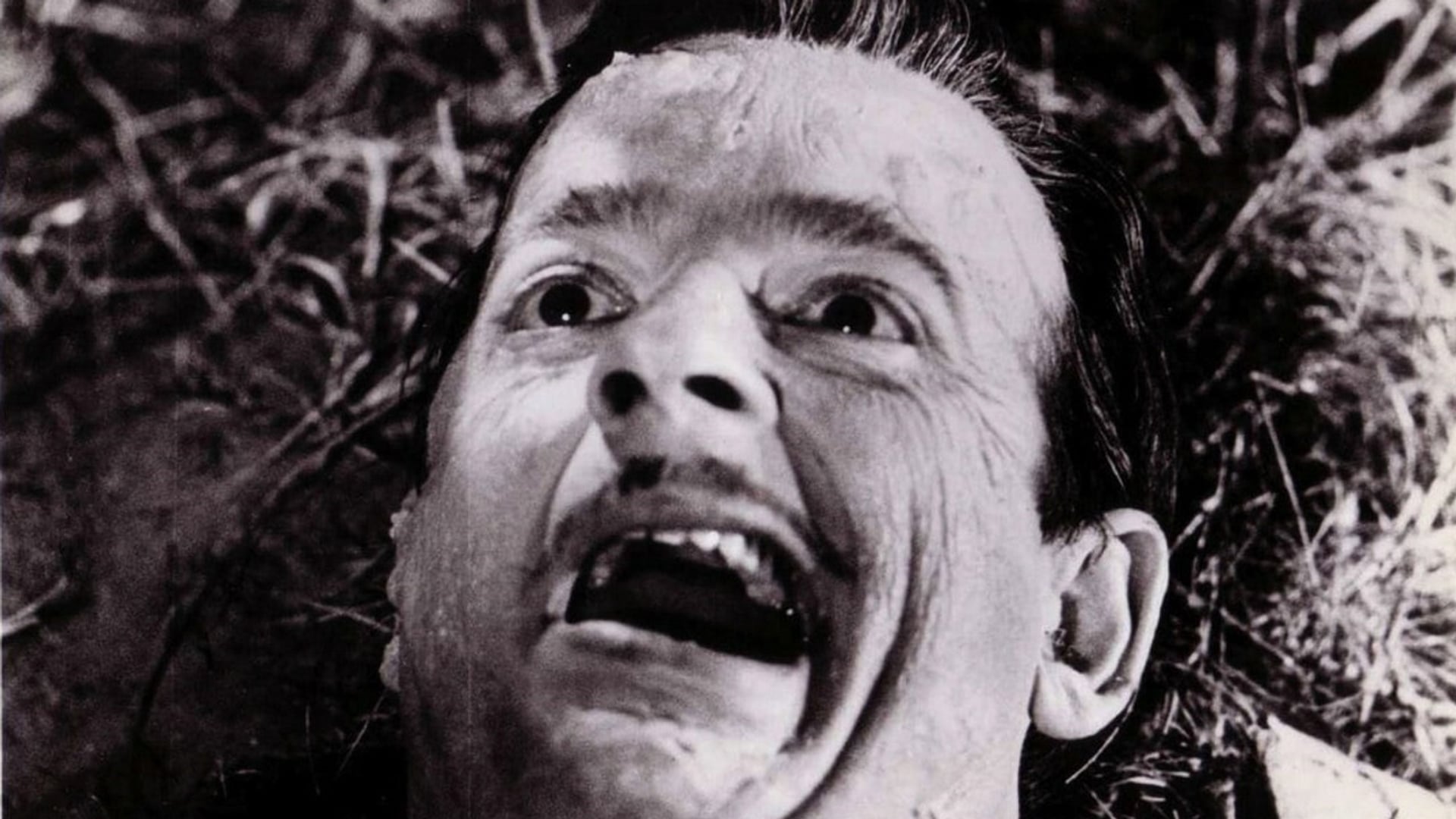 Foto do filme Monster a Go-Go!