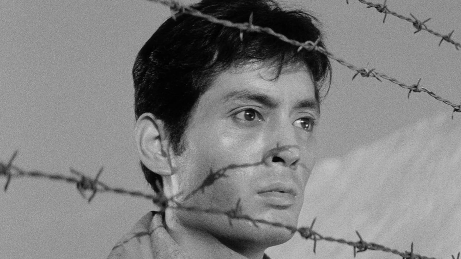 Foto do filme Guerra e Humanidade I: Não Há Amor Maior