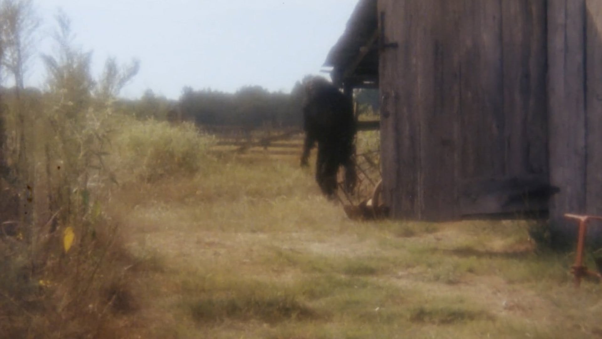 Foto do filme Boggy Creek II: And the Legend Continues