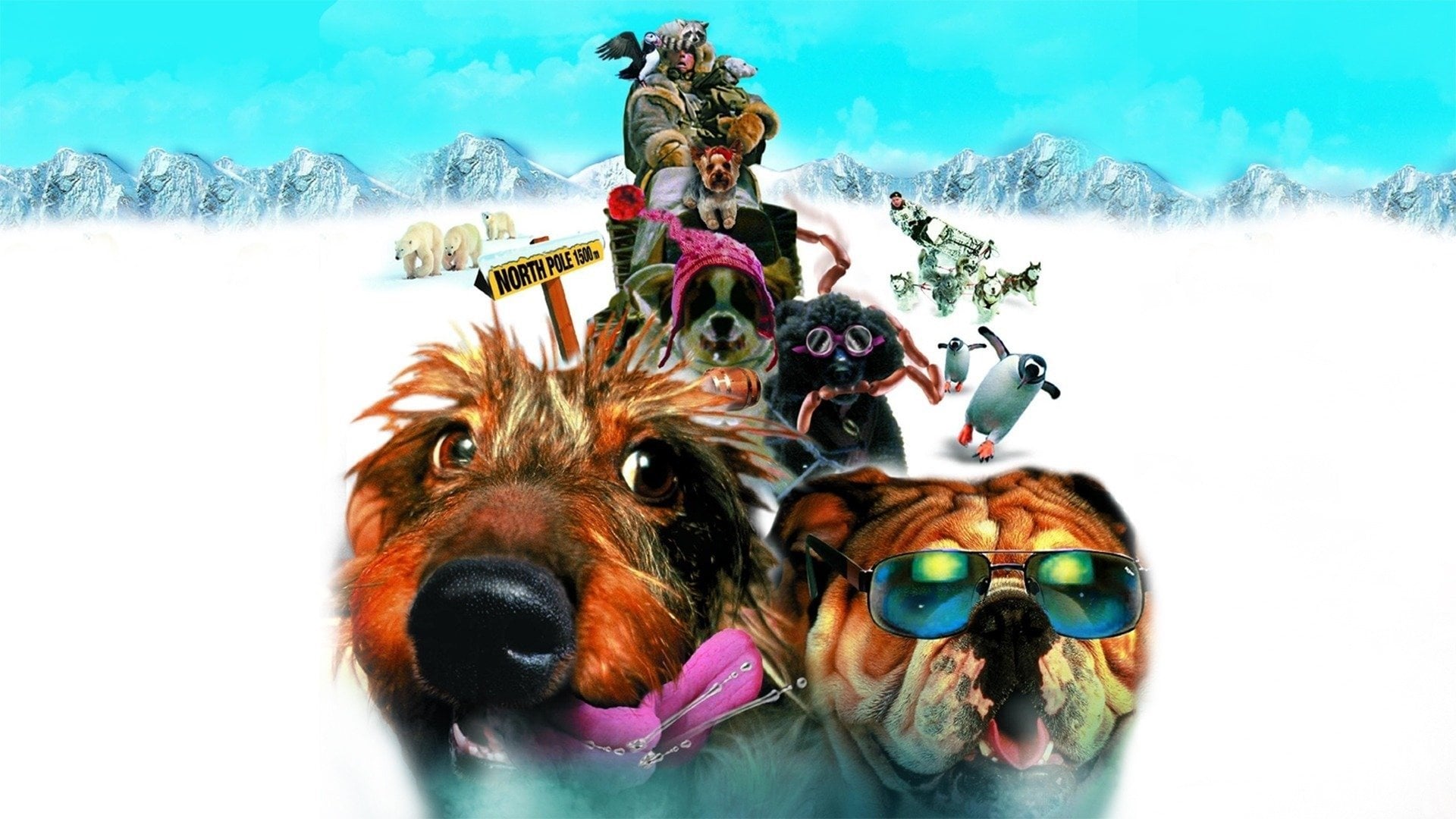 Foto do filme Aventuras no Alaska