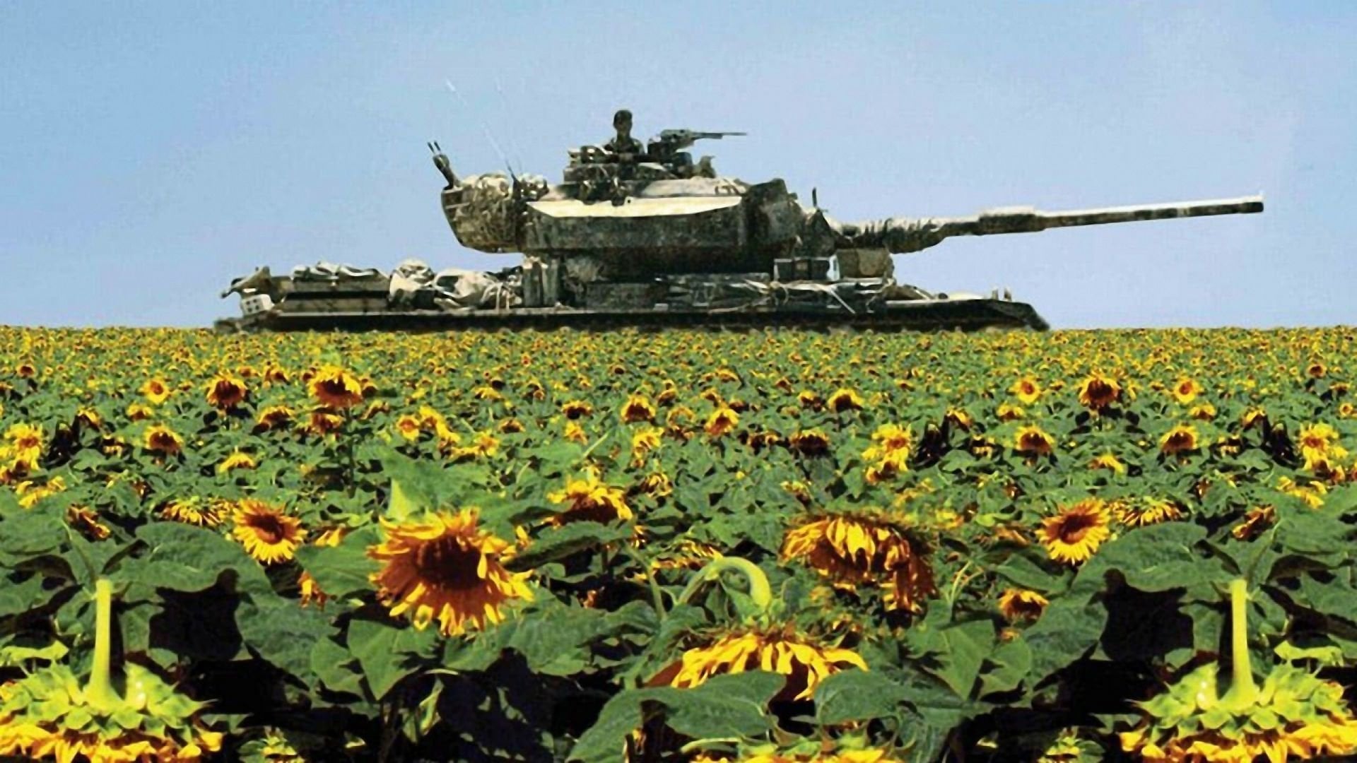 Foto do filme Líbano