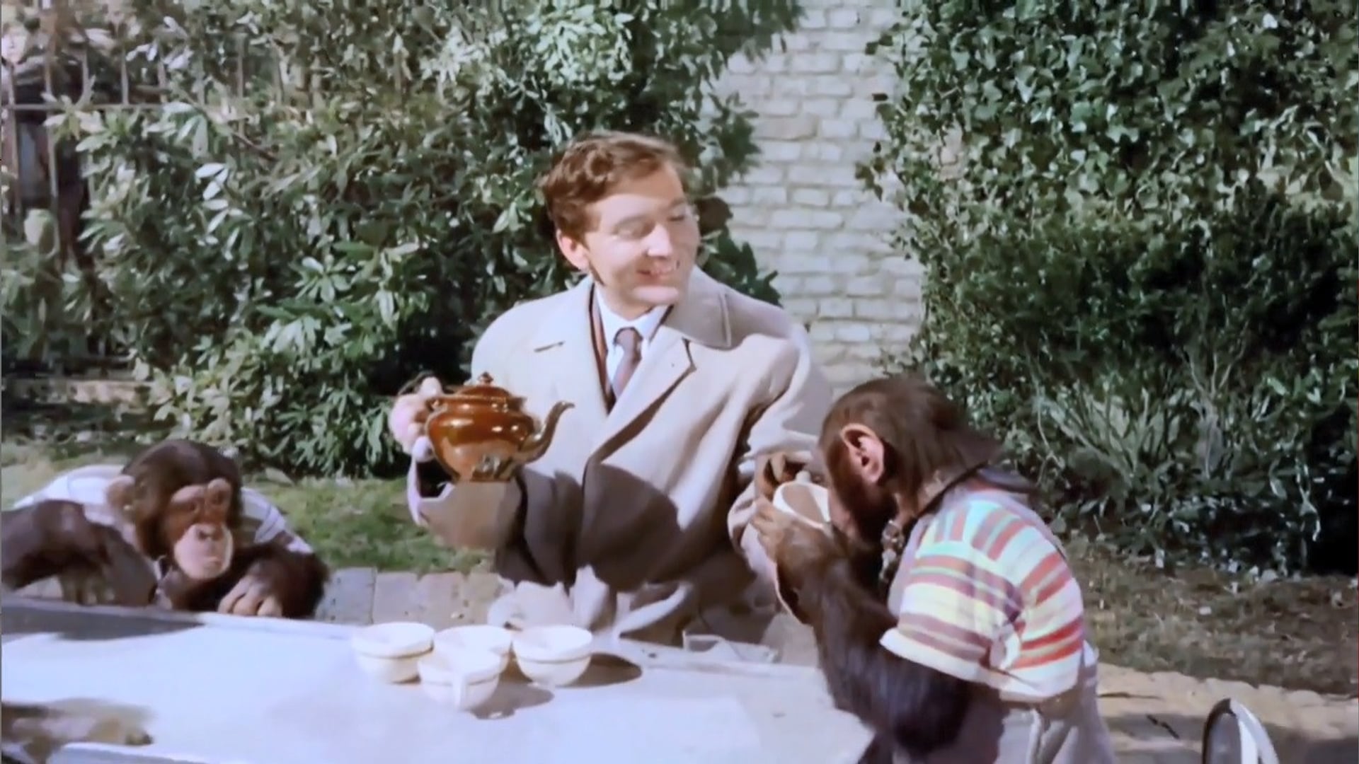 Foto do filme Carry On Regardless