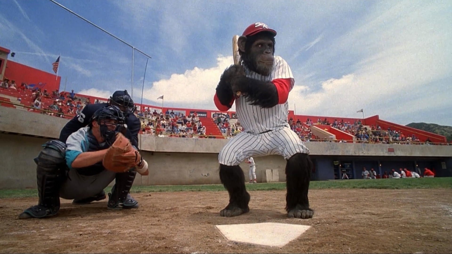 Foto do filme Ed - Um Macaco Muito Louco
