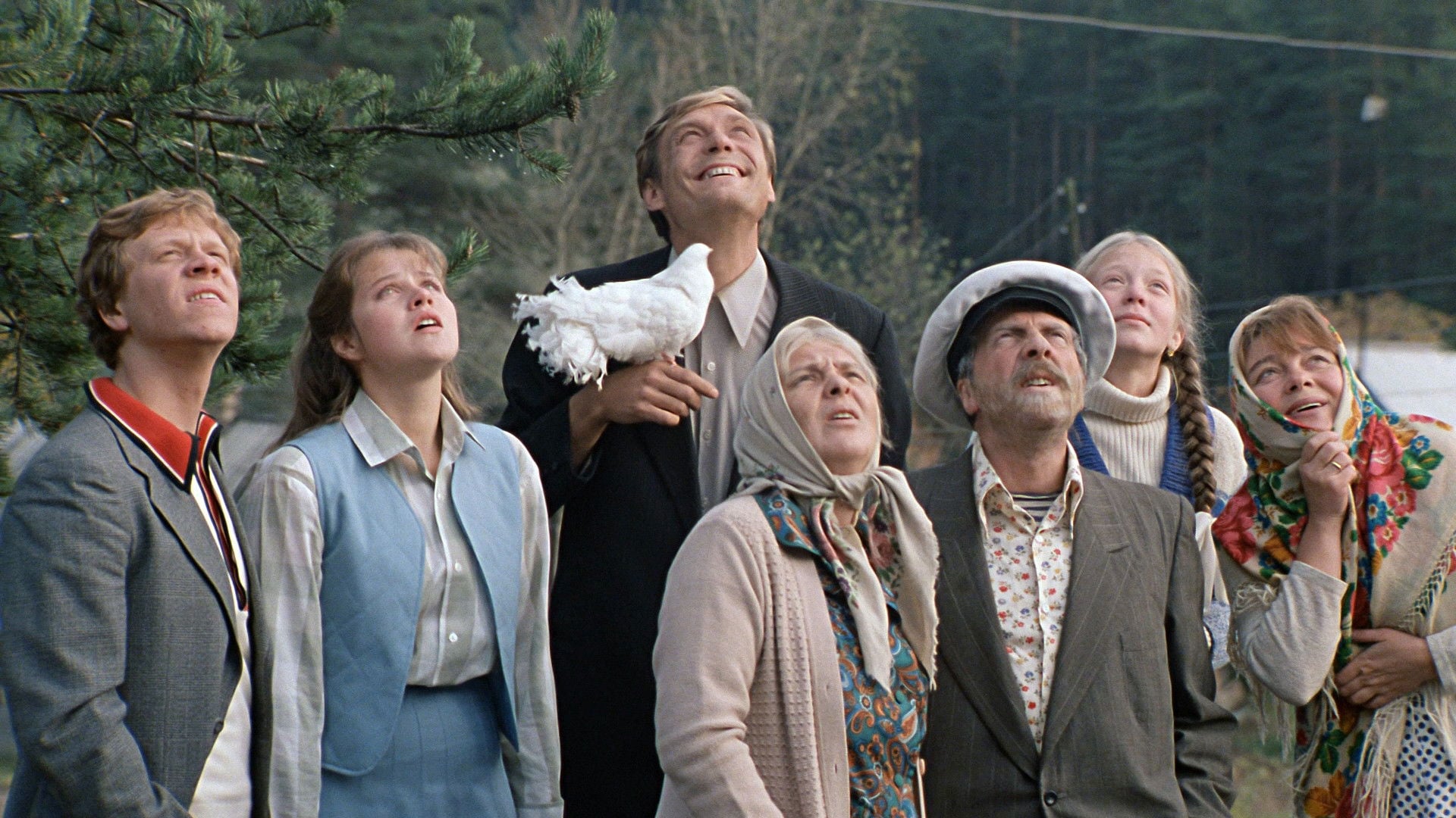 Foto do filme Love and Pigeons
