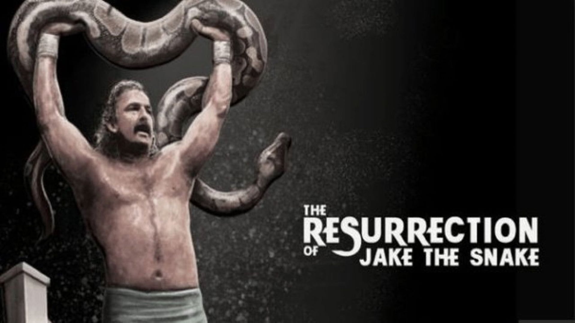 Foto do filme The Resurrection of Jake The Snake
