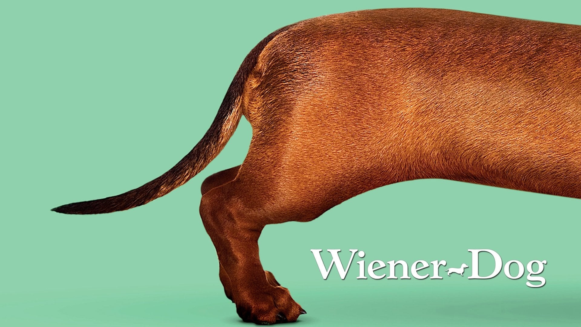 Foto do filme Wiener-Dog