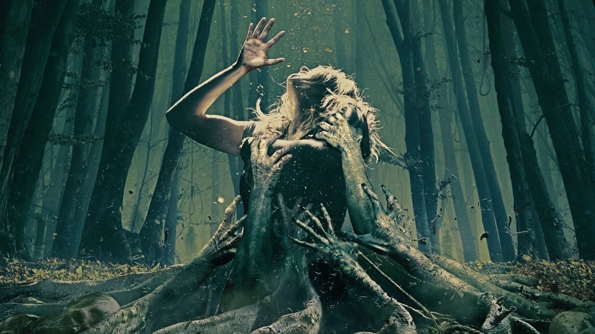 Foto do filme Floresta Maldita