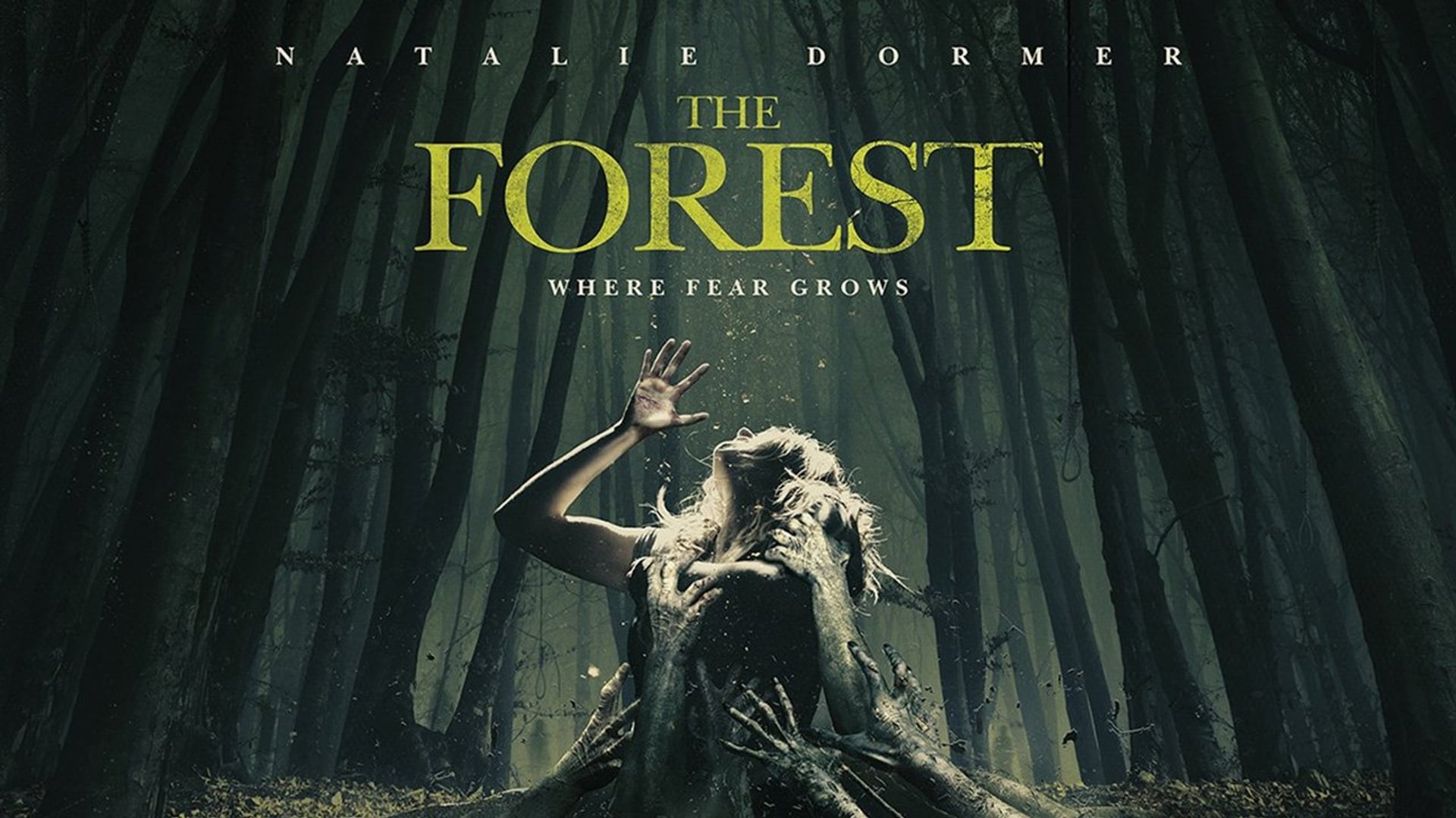 Foto do filme Floresta Maldita