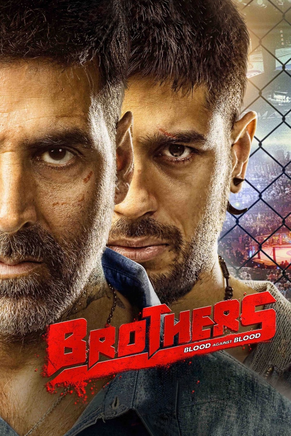 Irmãos no Ringue