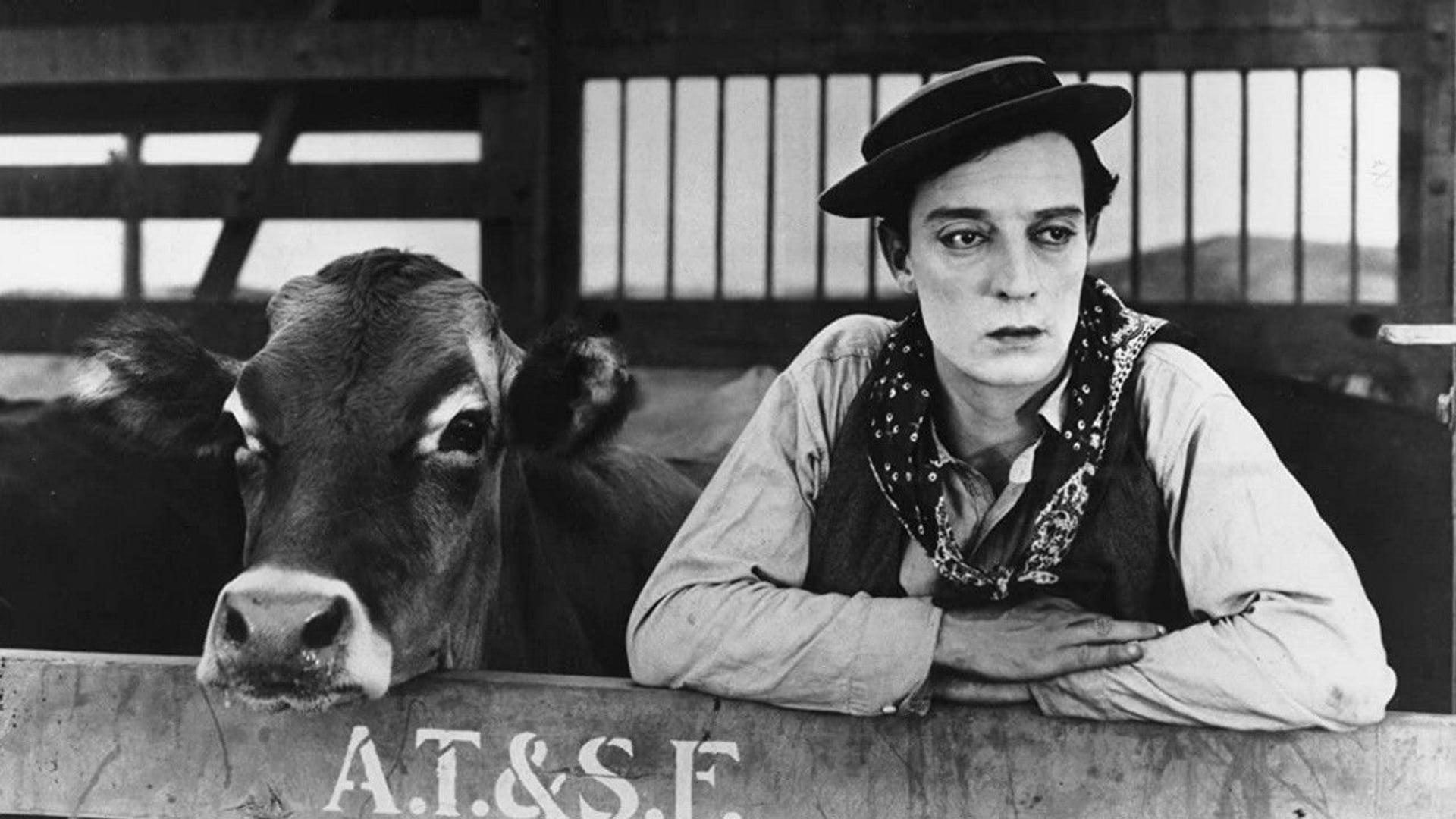 Foto do filme Vaqueiro Avacalhado