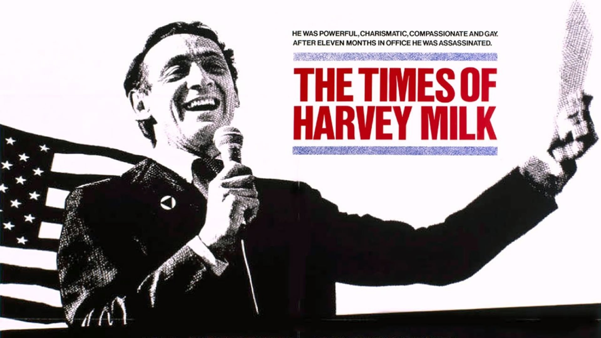 Foto do filme Os Tempos de Harvey Milk