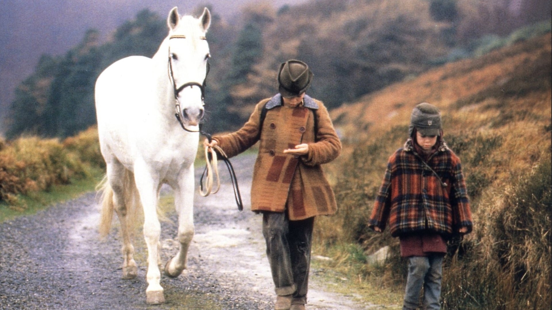 Foto do filme No Limite da Inocência