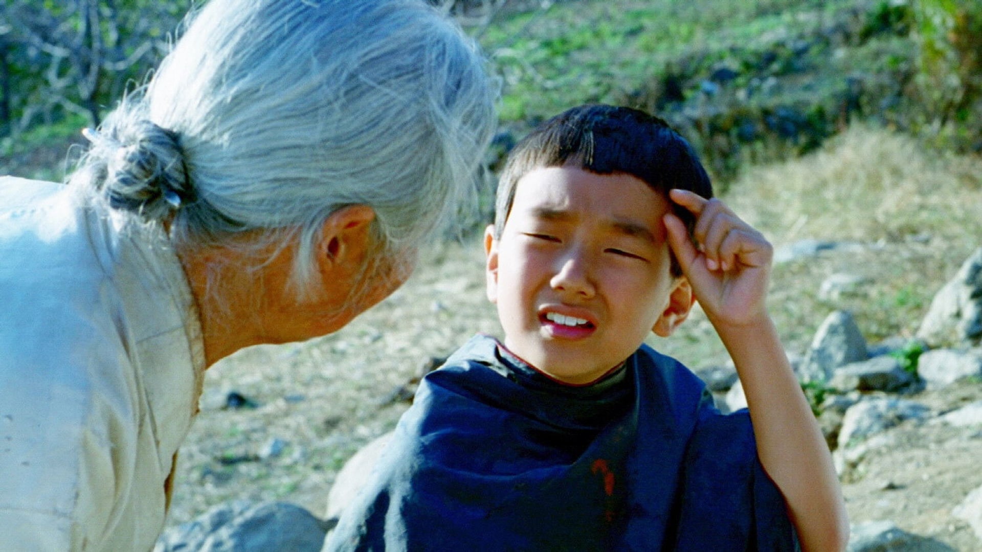 Foto do filme The Way Home