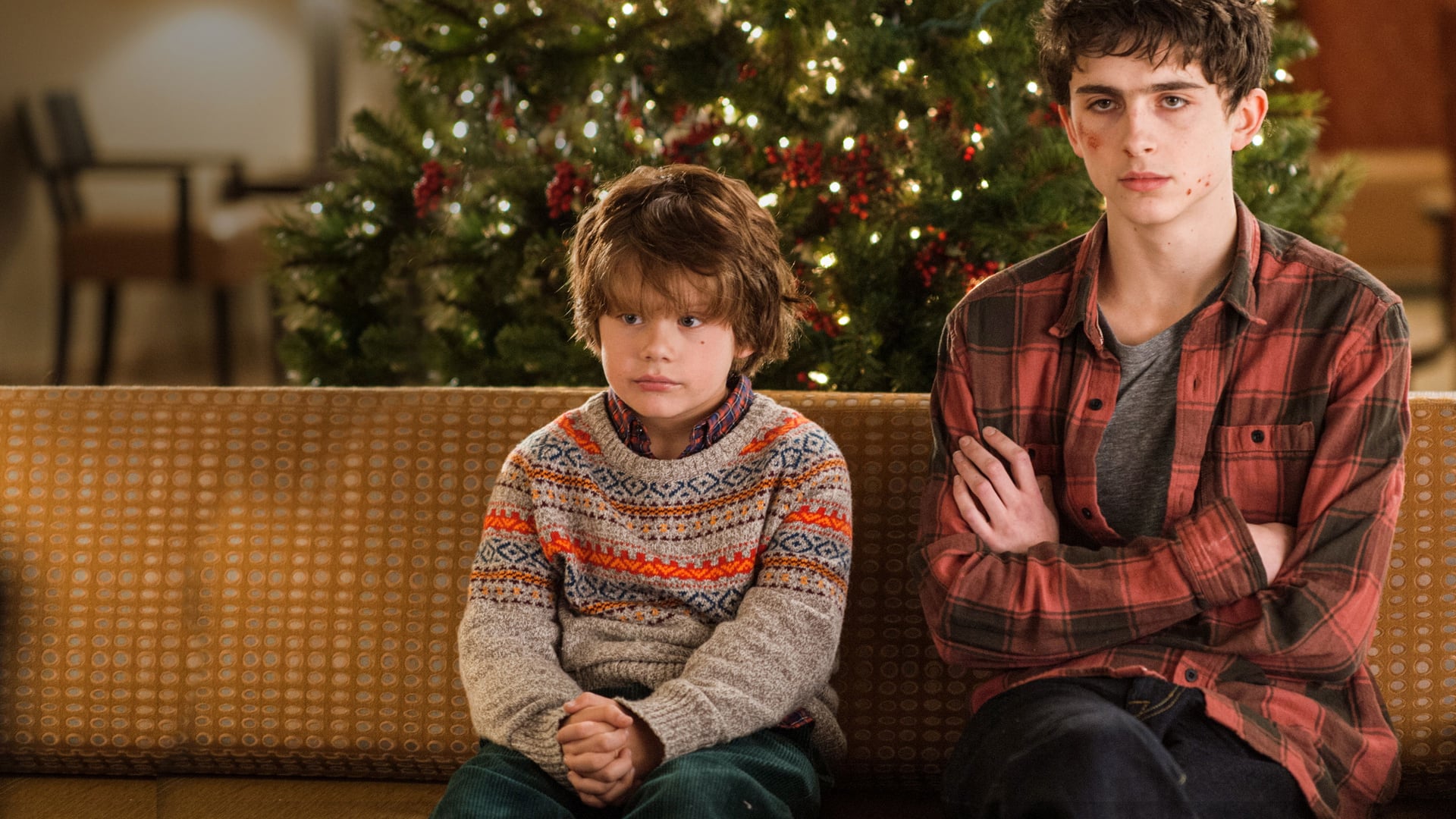 Foto do filme O Natal dos Coopers
