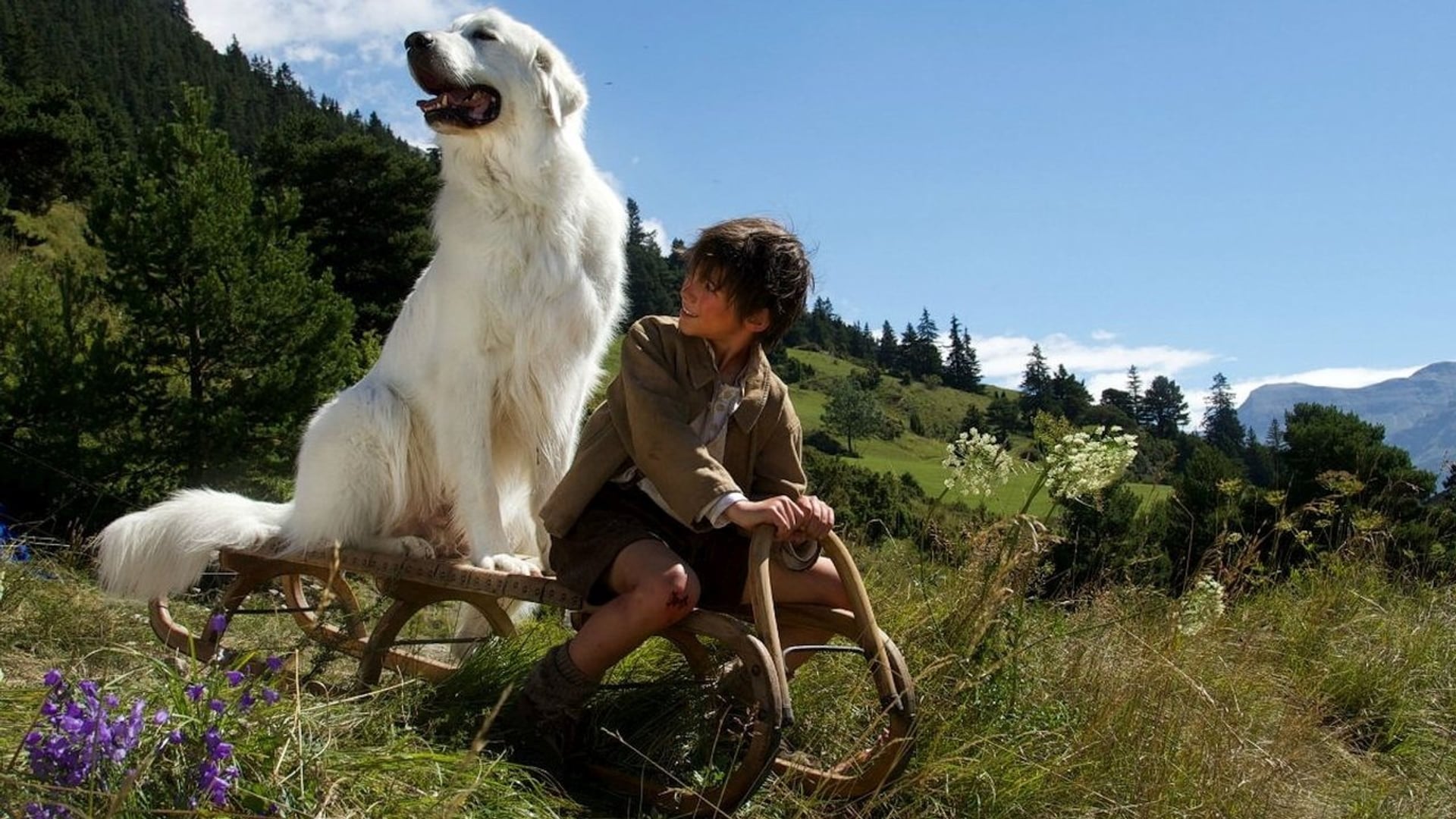Foto do filme Belle e Sebástian: A Aventura Continua