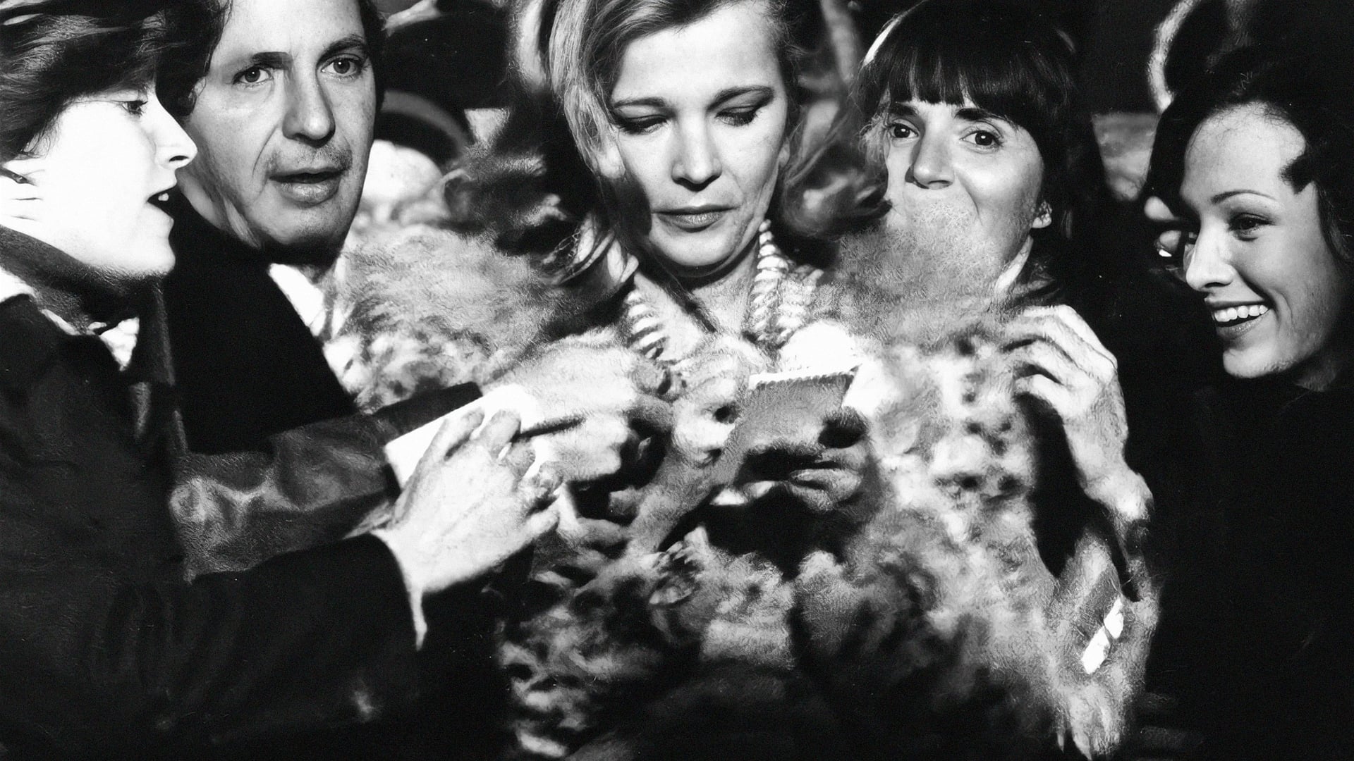 Foto do filme Noite de Estréia