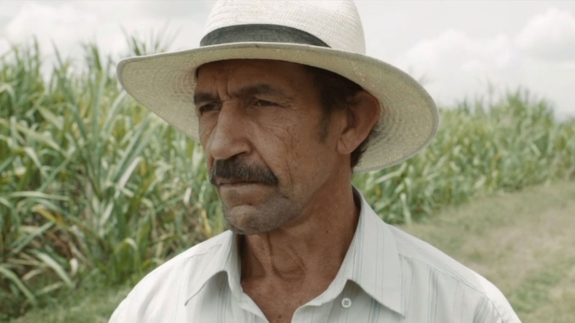 Foto do filme A Terra e a Sombra