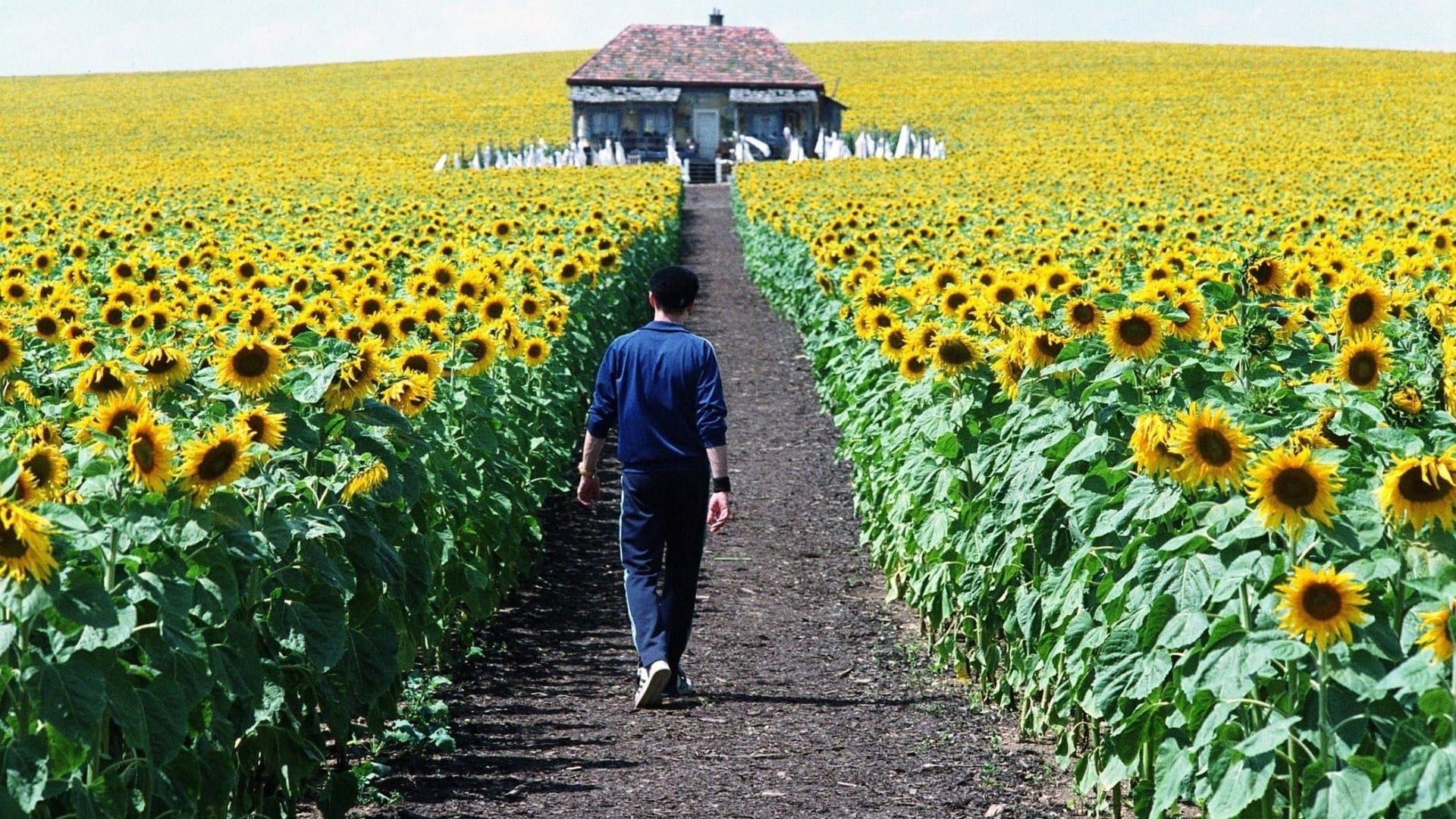 Foto do filme Uma Vida Iluminada