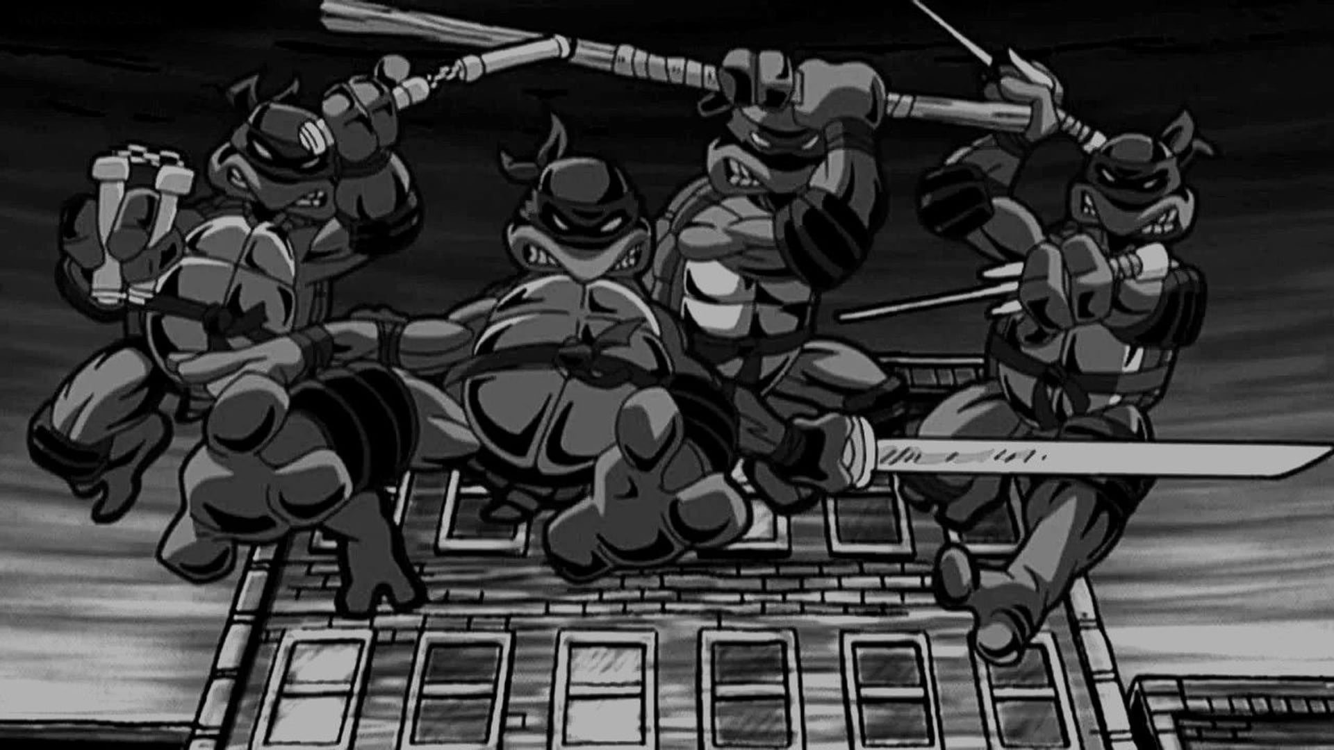 Foto do filme Turtles Forever