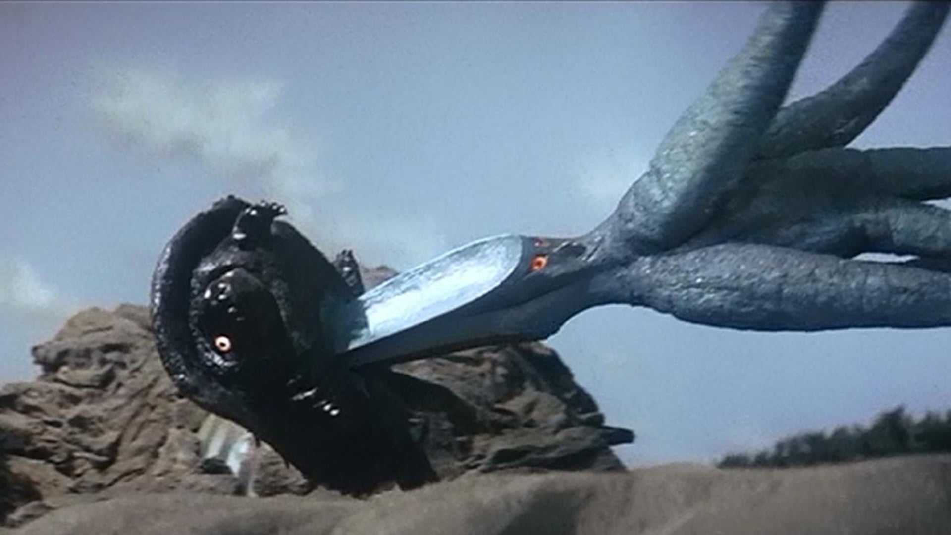 Foto do filme Destruam Toda a Terra