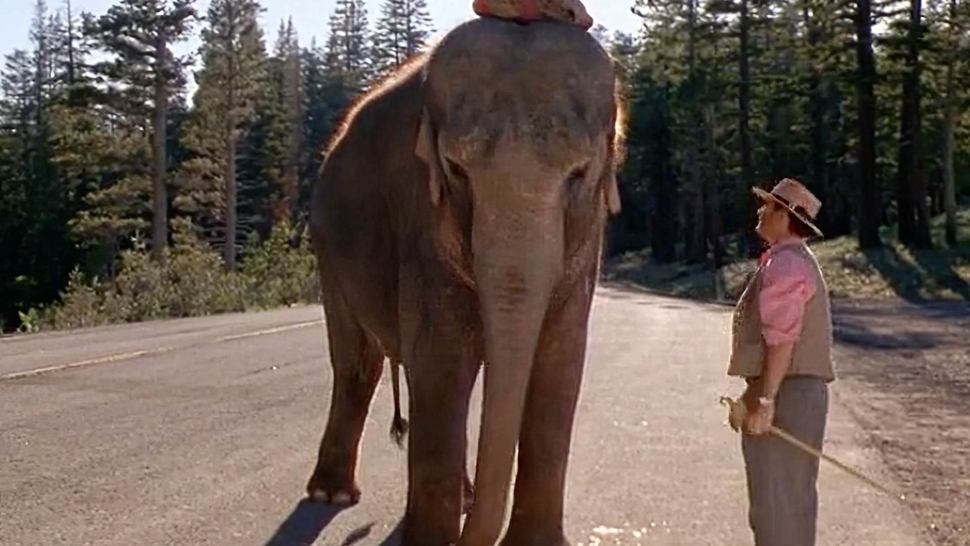 Foto do filme Uma Herança da Pesada