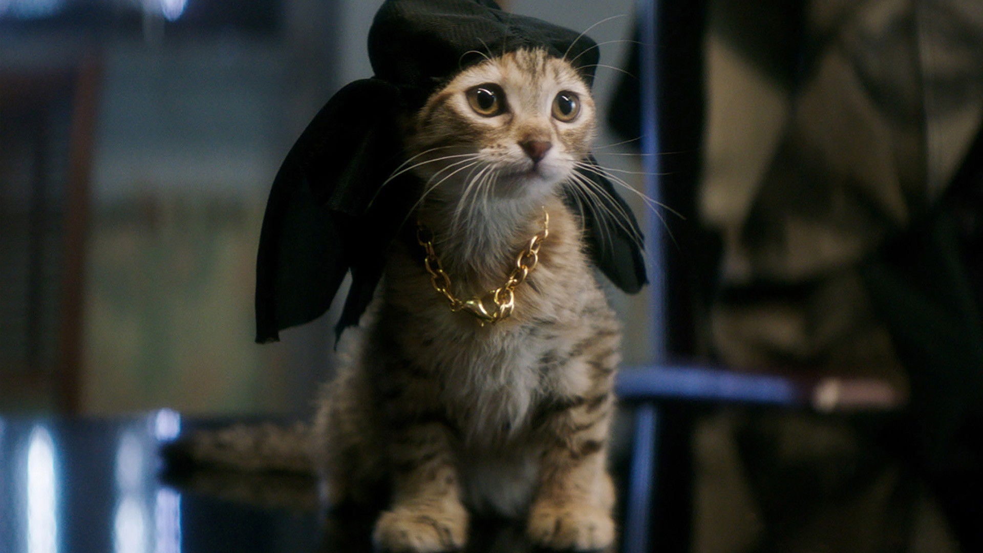 Foto do filme Keanu: Cadê Meu Gato?!