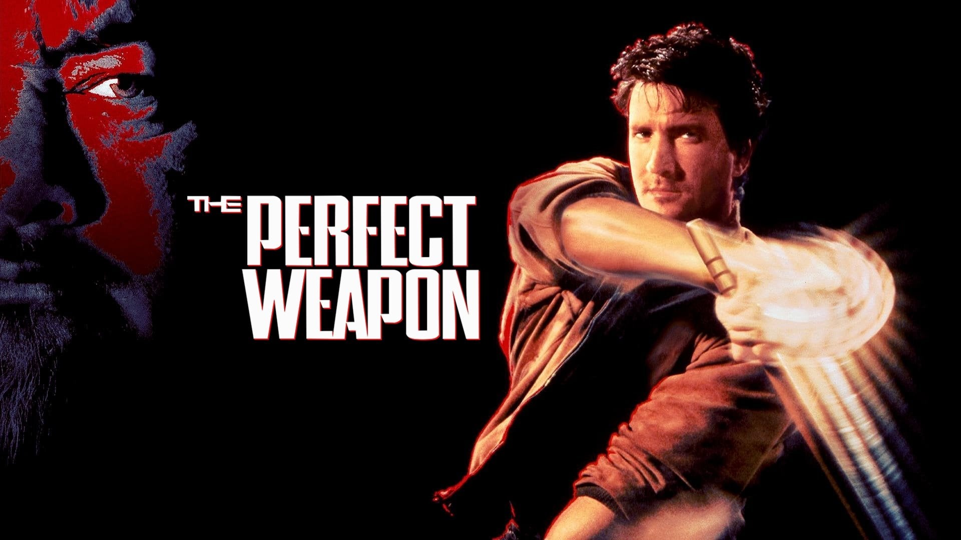 Foto do filme A Arma Perfeita