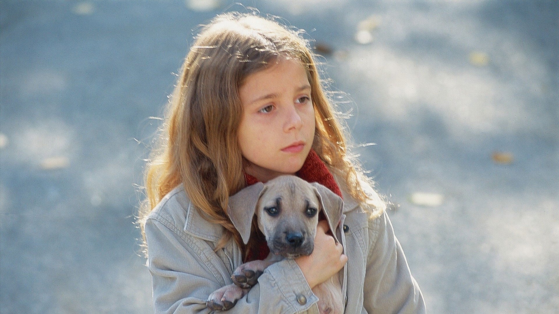 Foto do filme Chestnut: O Herói do Central Park