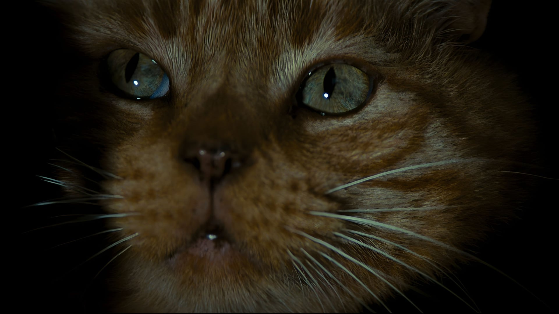 Foto do filme Alien: O Oitavo Passageiro