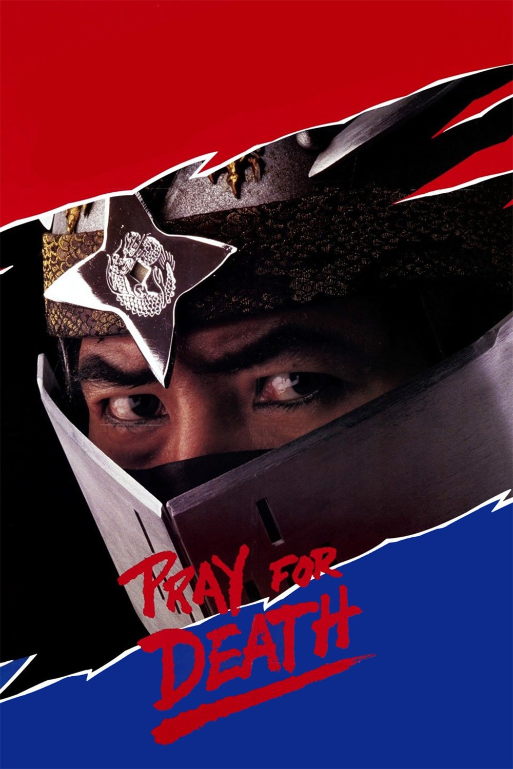 A Sombra de um Ninja