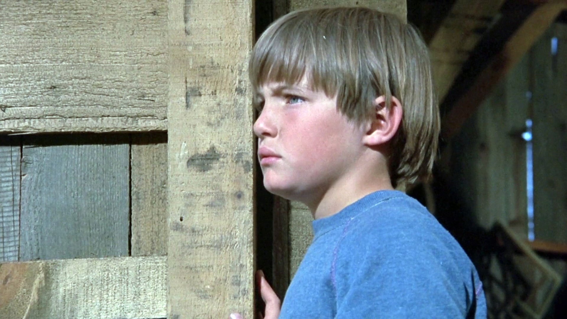 Foto do filme A Inocente Face do Terror