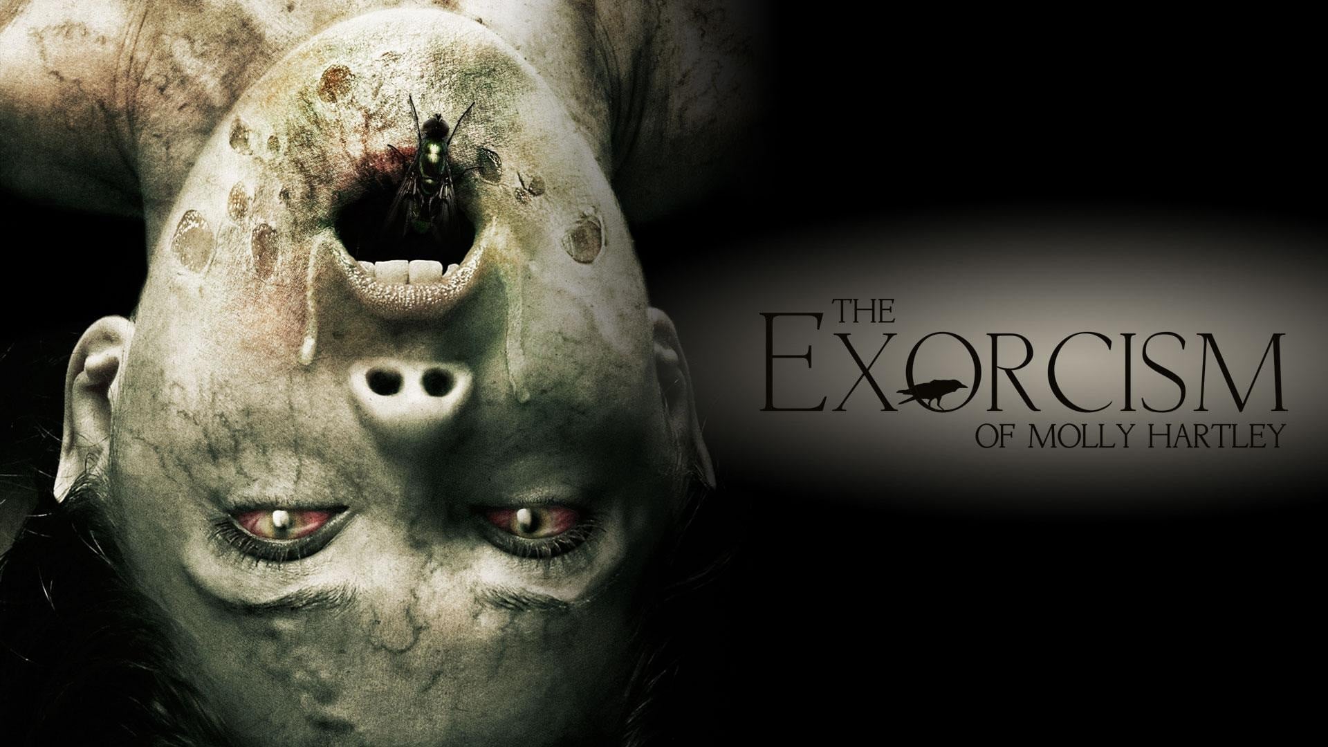Foto do filme O Exorcismo de Molly Hartley