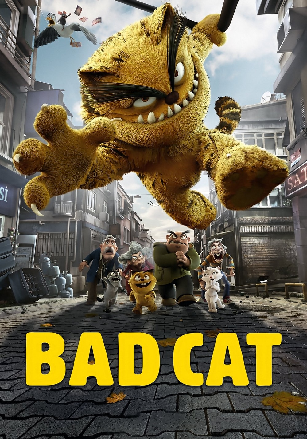 Gato Sórdido